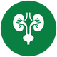 Urinary & Kidney System