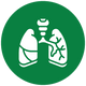 Respiratory System