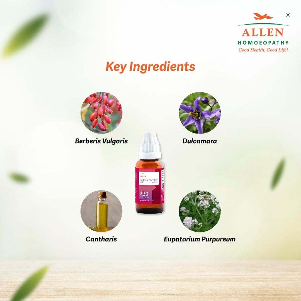 A20 Kidney & Bladder Care Drops